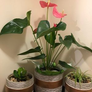 Meet your Posher, Rowena